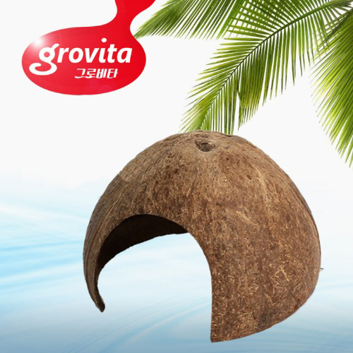 그로비타 코코넛 은선처 장식소품