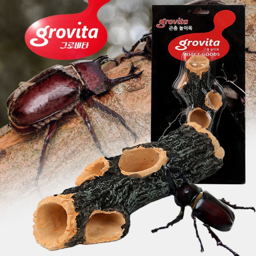 그로비타 장수풍뎅이 곤충 놀이목