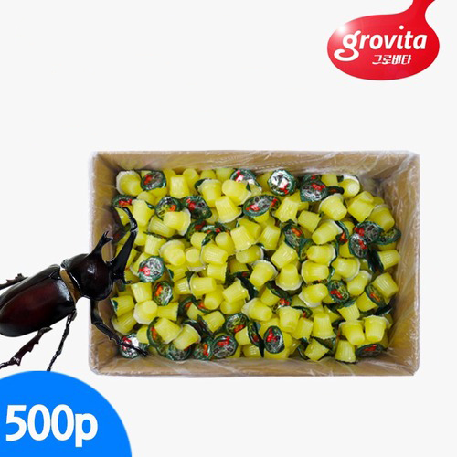 그로비타 곤충젤리 (500p) - 바나나맛