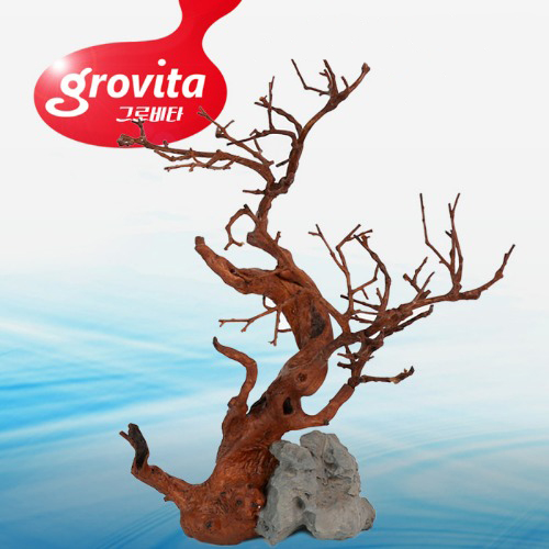 그로비타 가지유목 장식소품(TB226A)