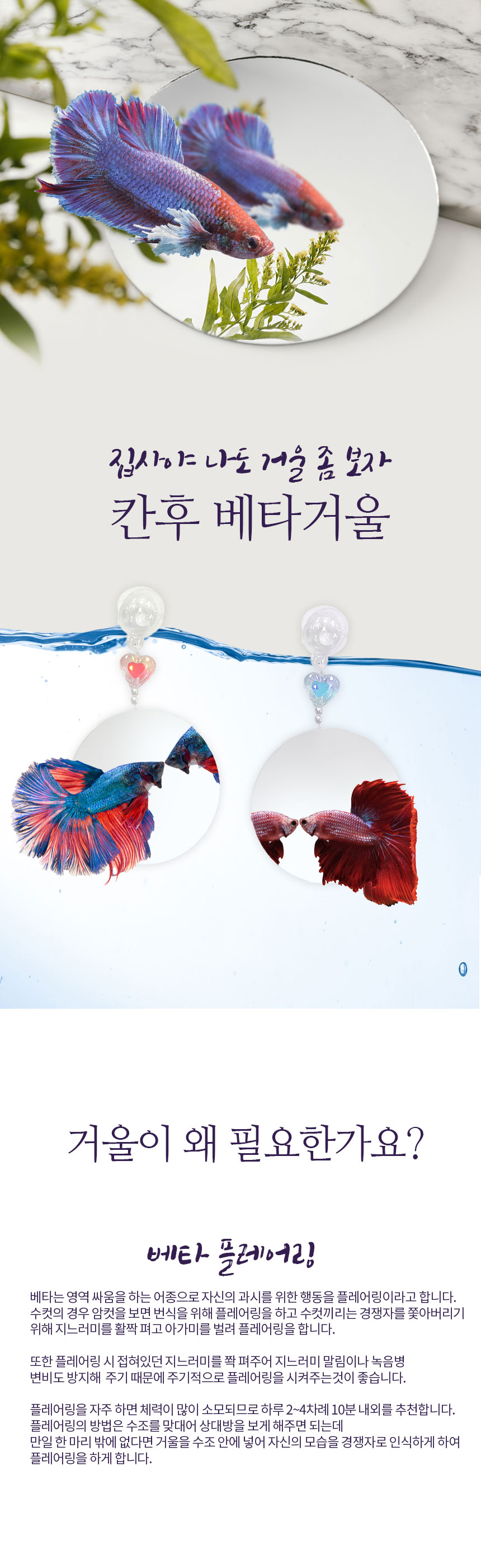 칸후 베타 거울 어항 장식 꾸미기 플레어링 - 아쿠아유쥬